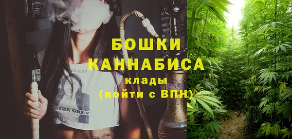 сатива Анжеро-Судженск